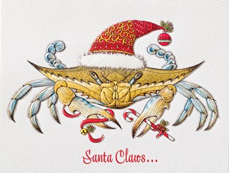 Boxed Christmas Cards (10)