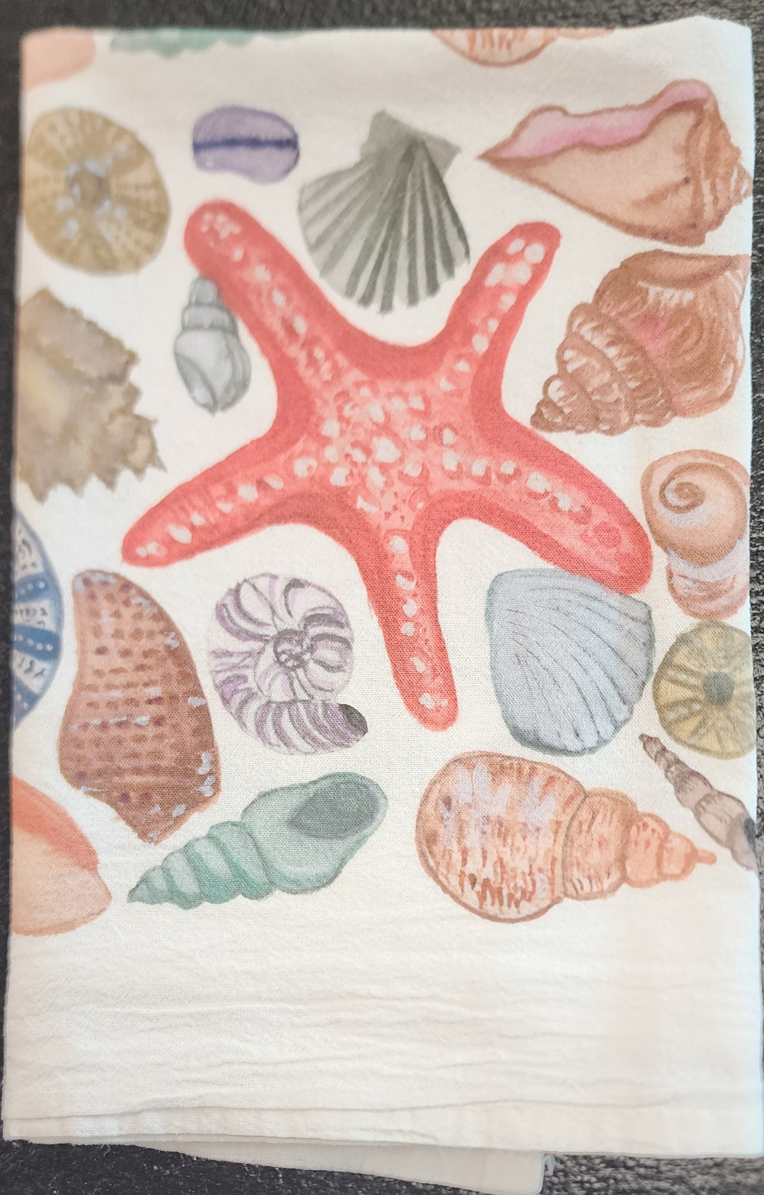 Paper Shells Watercolor Shells Tea Towel
