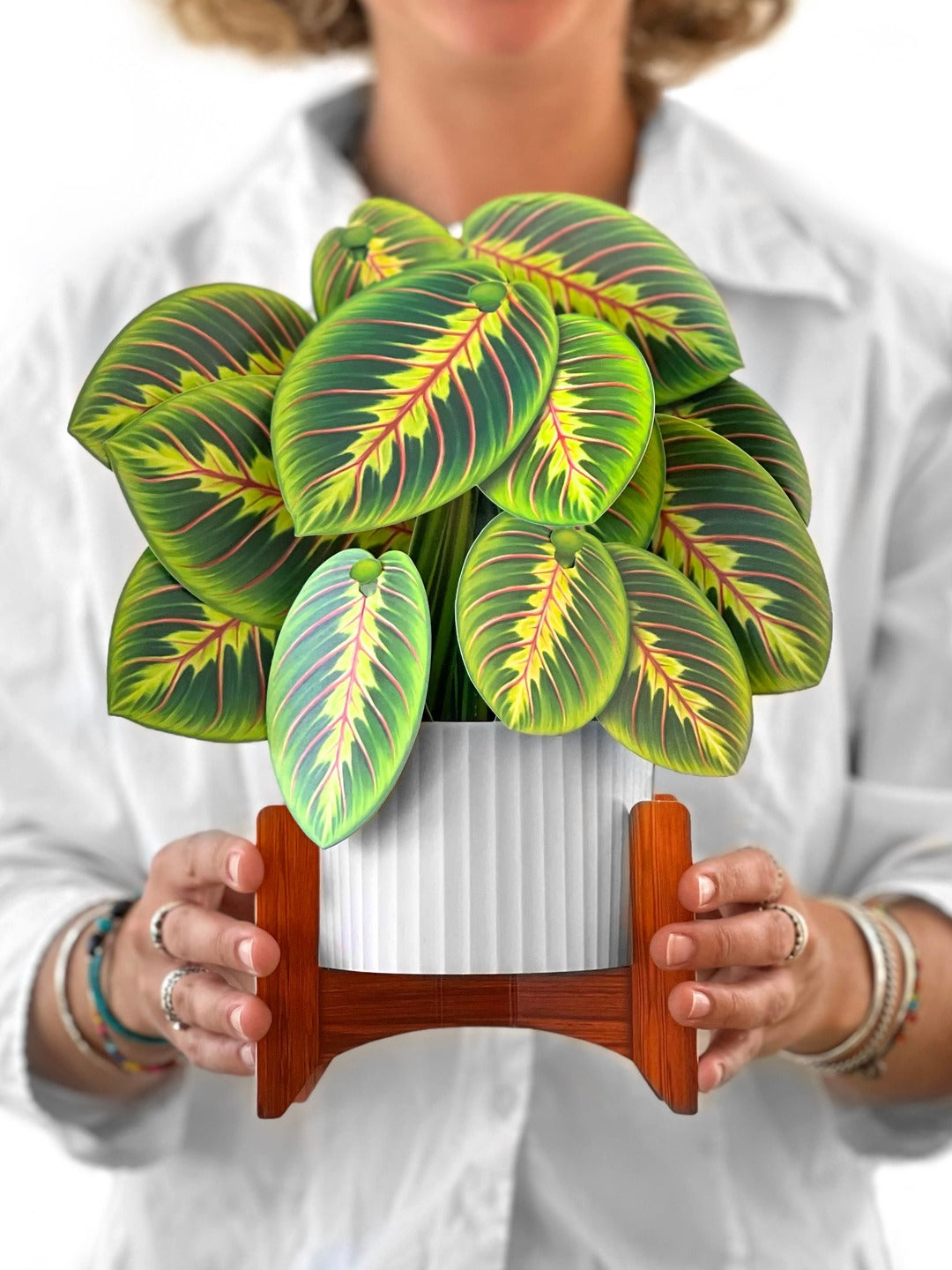 Prayer Plant (8 Pop-up Greeting Cards)