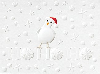 Boxed Christmas Cards (10)