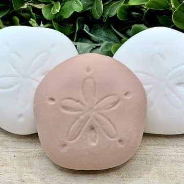 Sand Dollar White Unscented Soap