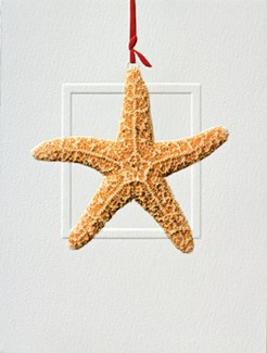 Boxed Christmas Cards (10)