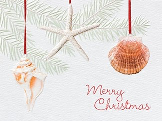 Boxed Christmas Cards (10)