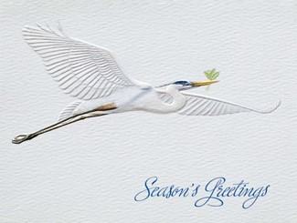 Boxed Christmas Cards (10)
