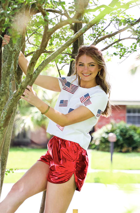 Flags Fly Tee