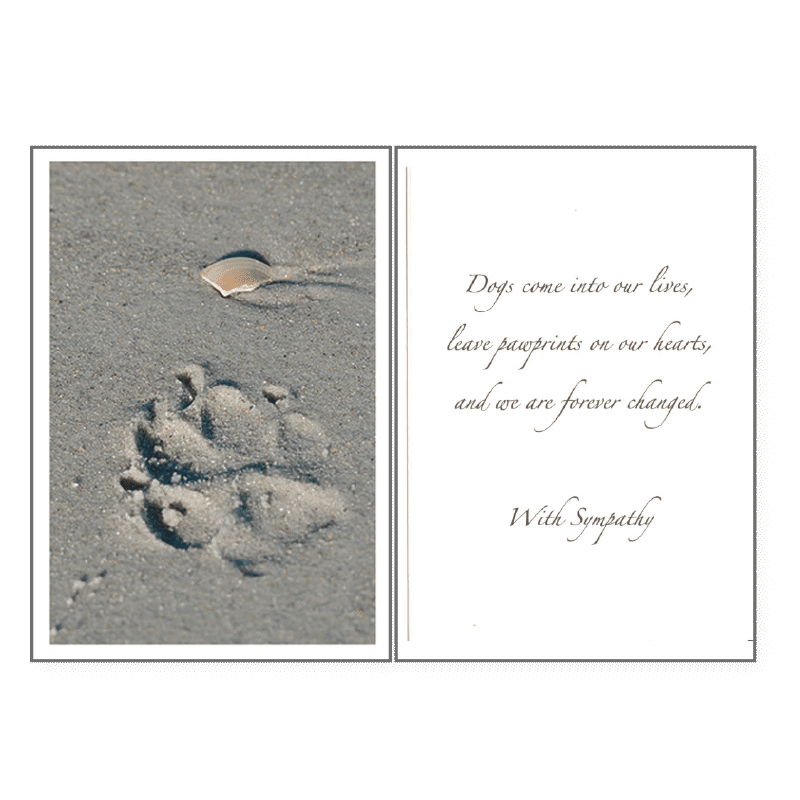 Paw Print Sympathy Card
