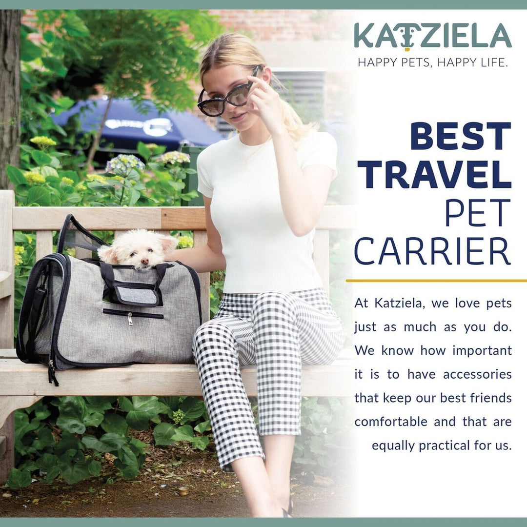 Chameleon Commuter Pet Carrier