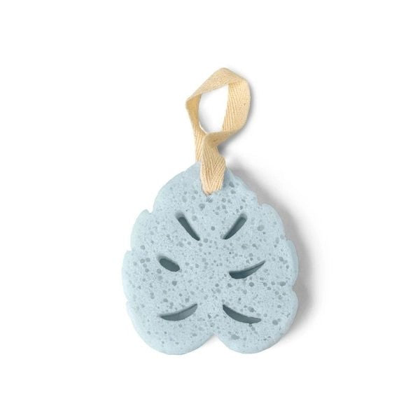 In The Buff Sponge