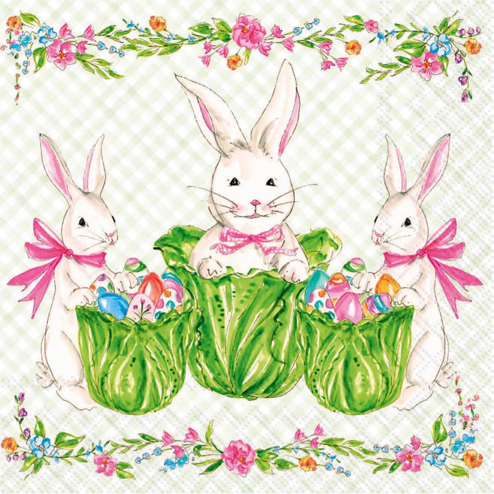 20 Count Paper Cocktail Napkins (Cabana)