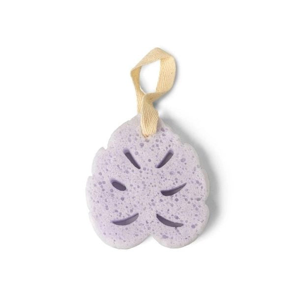 7ef70a_cf195a5c39ec433a8a967246749b40c8~mv2.jpg